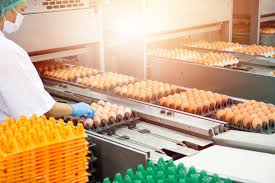 Food safety training at an egg processing line